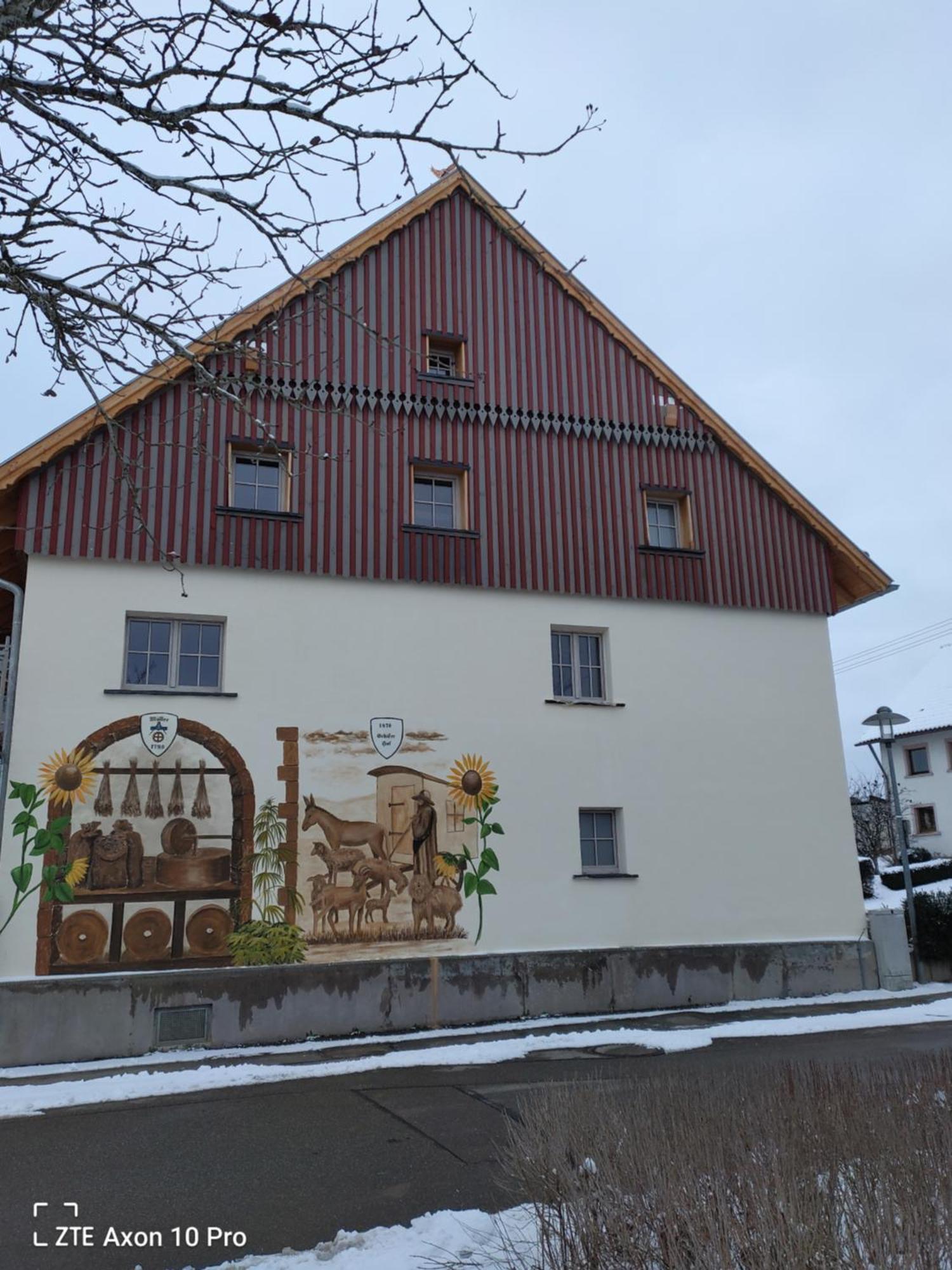 Alte Oelmuehle, Spaeter Schaefershaus Donaueschingen Exterior photo